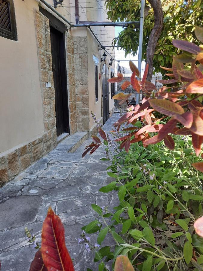 Vasilion Agrotourism Villa Polis Exteriör bild