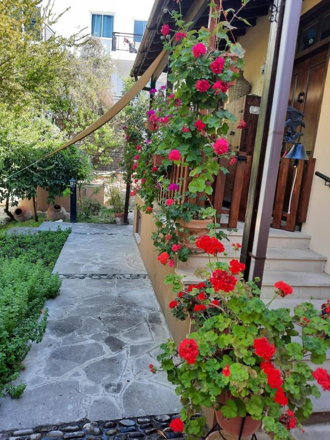 Vasilion Agrotourism Villa Polis Exteriör bild