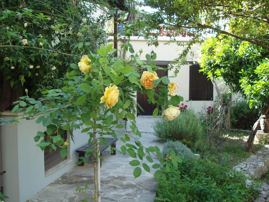 Vasilion Agrotourism Villa Polis Rum bild