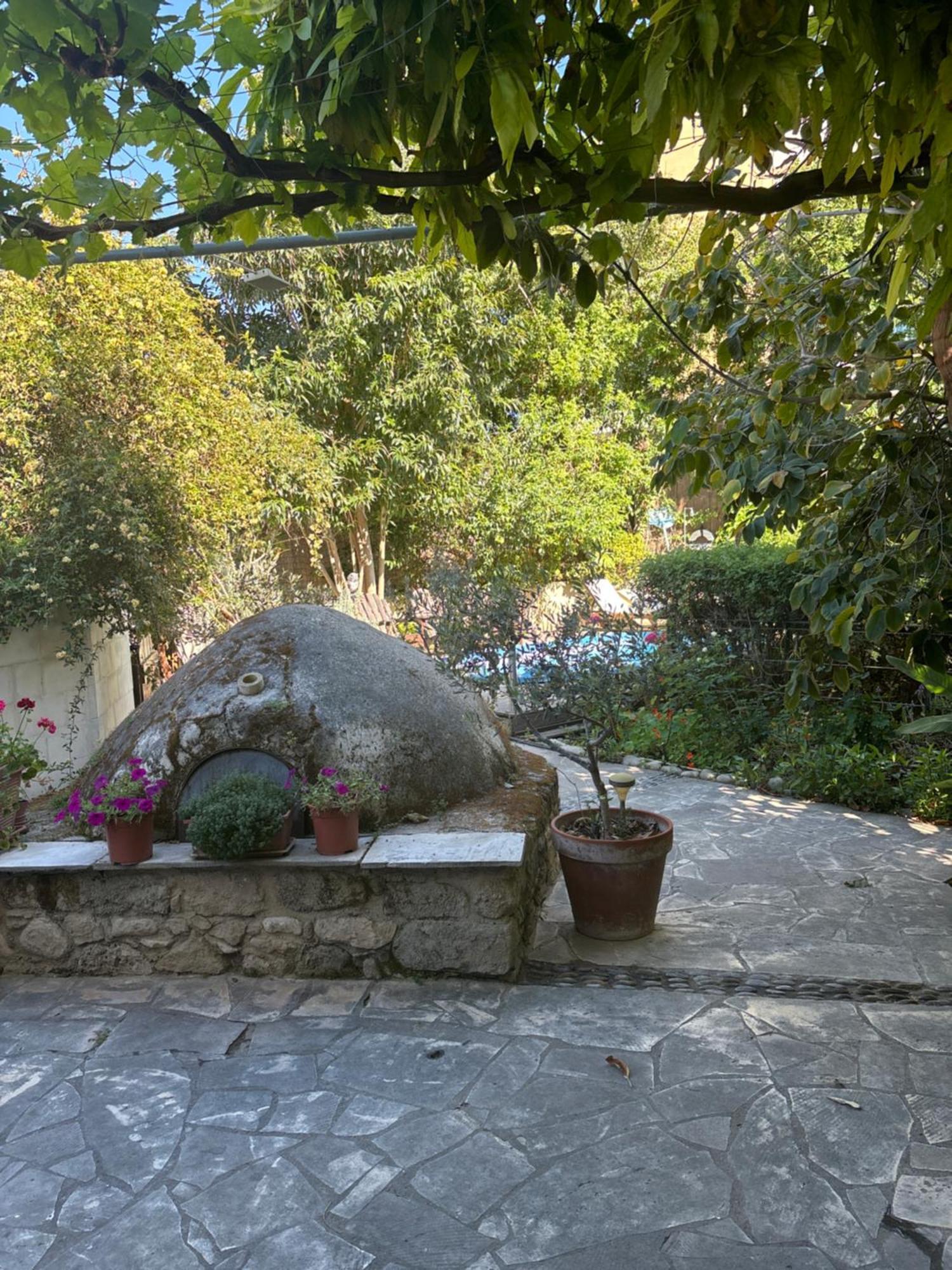 Vasilion Agrotourism Villa Polis Exteriör bild