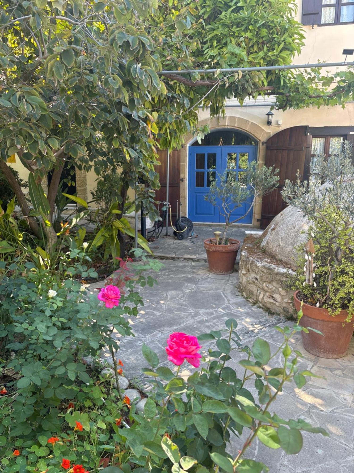 Vasilion Agrotourism Villa Polis Exteriör bild