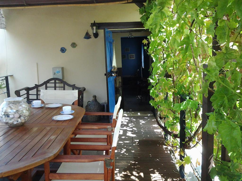 Vasilion Agrotourism Villa Polis Rum bild