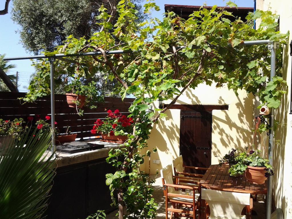 Vasilion Agrotourism Villa Polis Rum bild