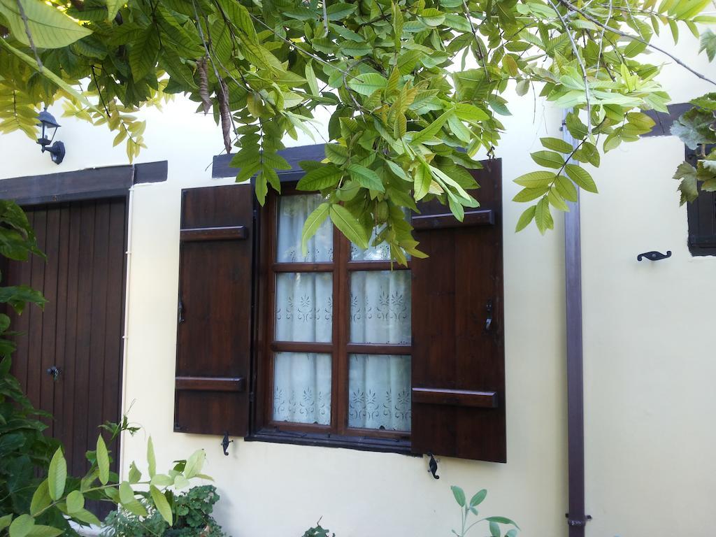 Vasilion Agrotourism Villa Polis Rum bild