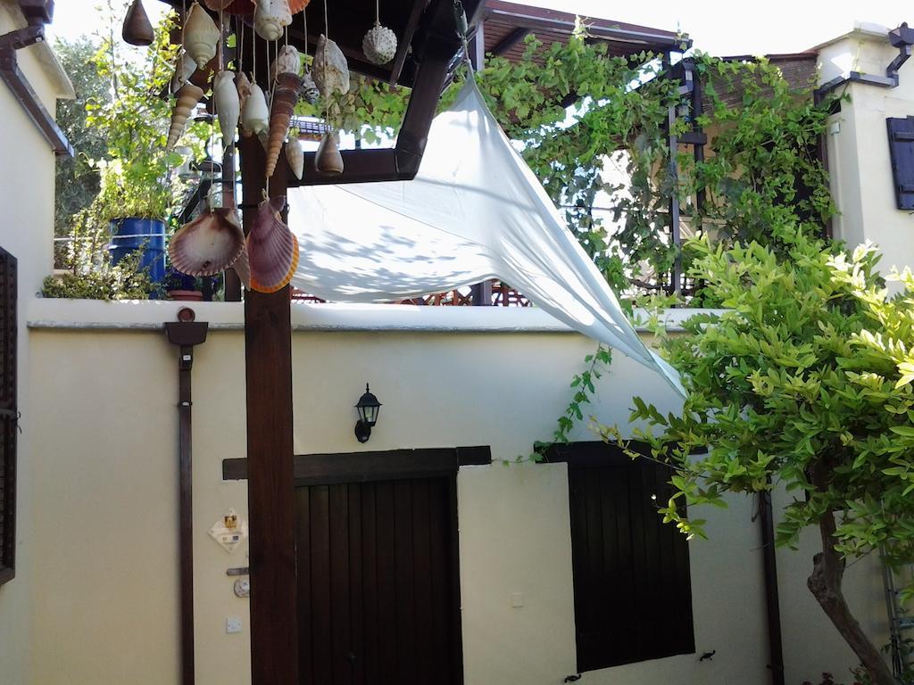 Vasilion Agrotourism Villa Polis Rum bild